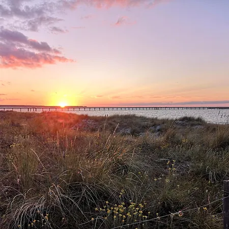 Apartment Haus Erika Prerow